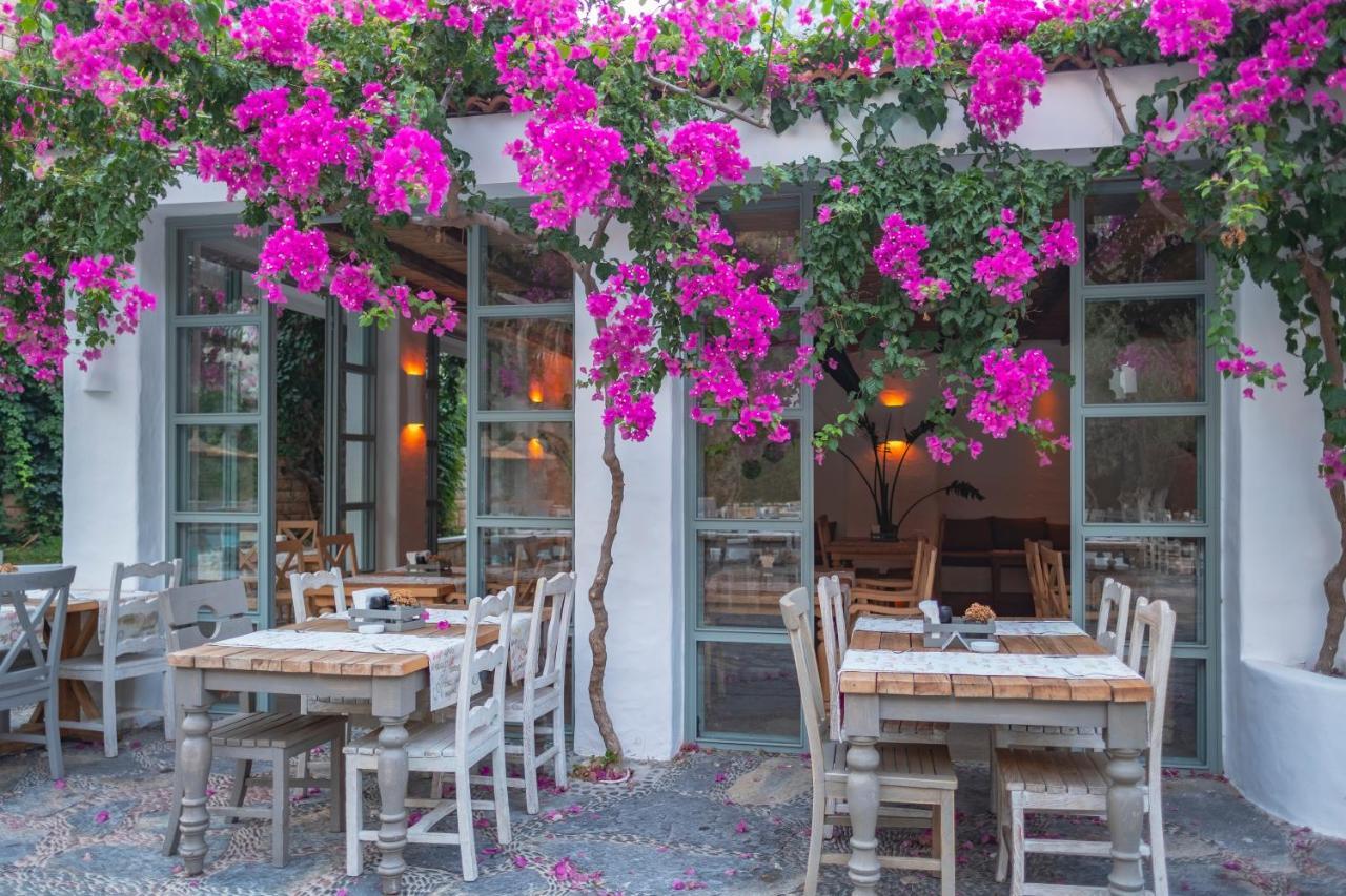 Flamingo Hotel&spa - Pet Friendly 3*