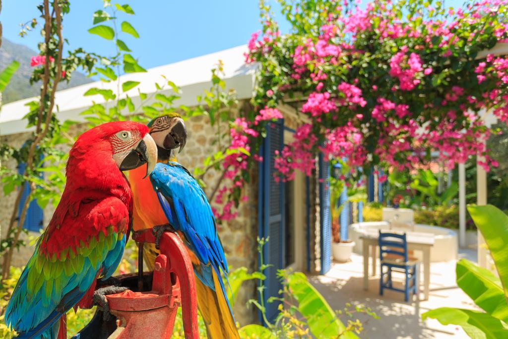 Hotel Flamingo Hotel&spa - Pet Friendly 3*