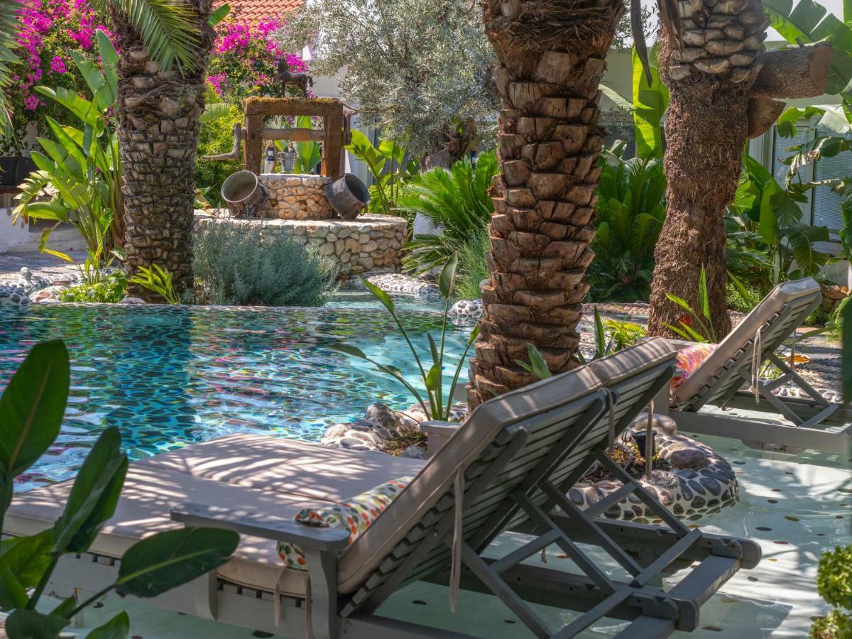Flamingo & - Pet Friendly Hotel Ölüdeniz
