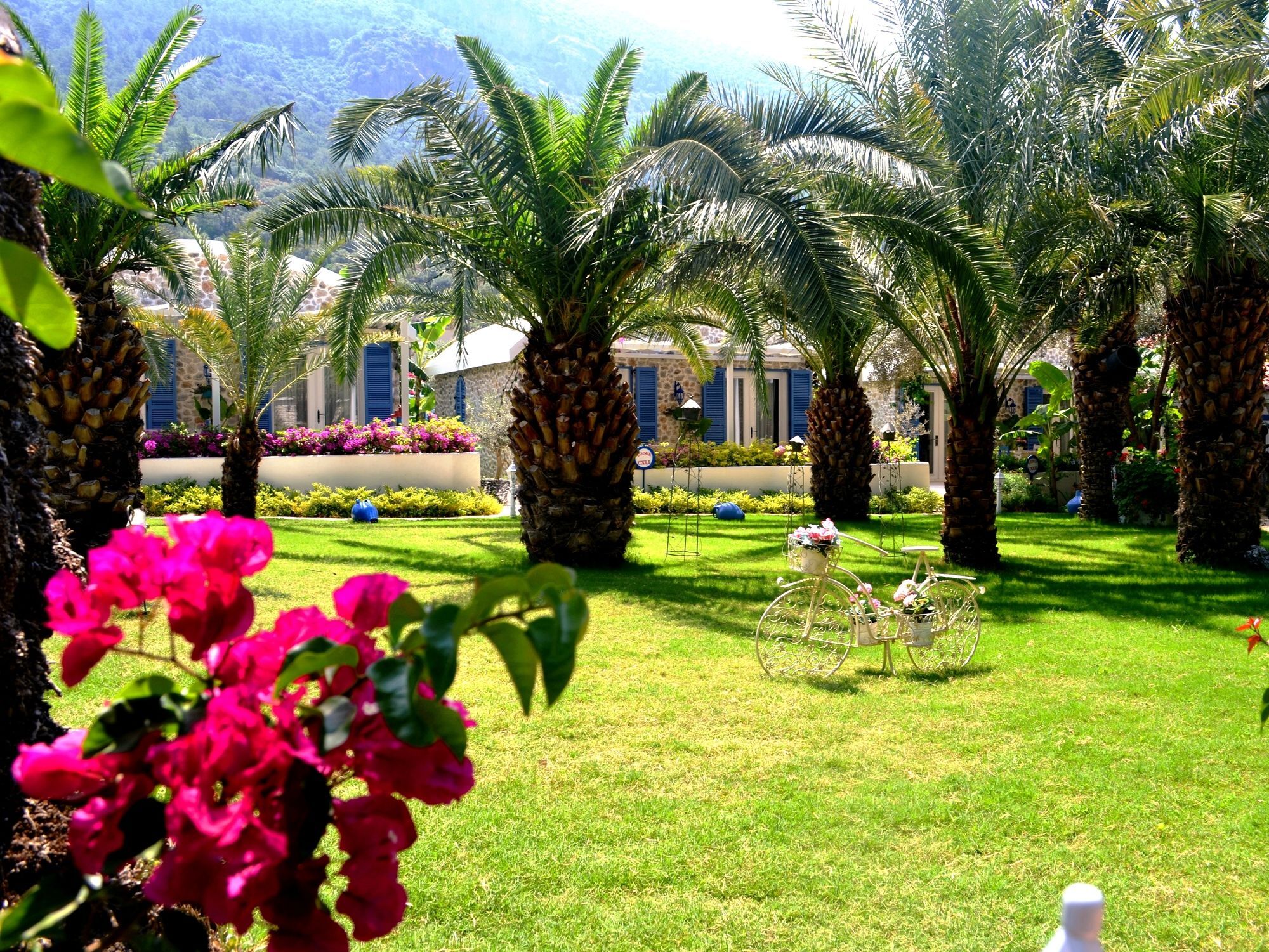 Flamingo Hotel&spa - Pet Friendly 3* Ölüdeniz